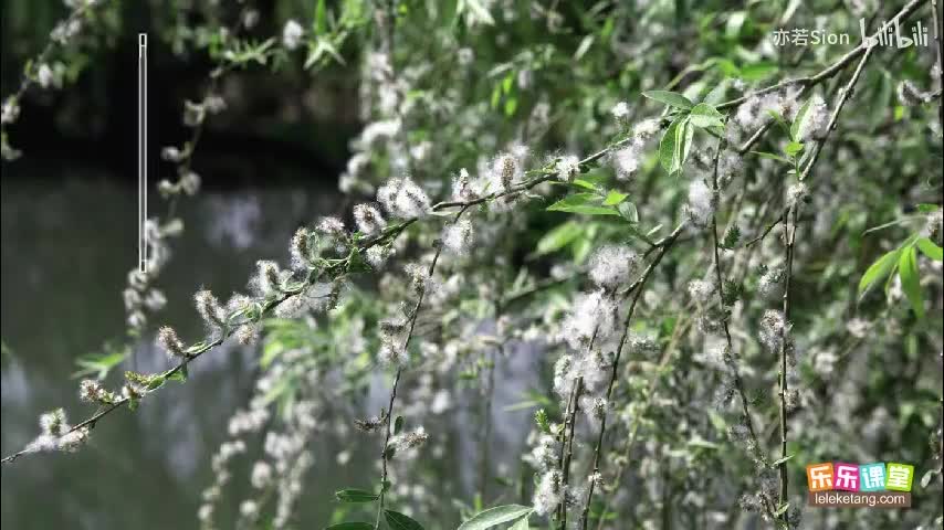 07. 生物对环境的适应和影响