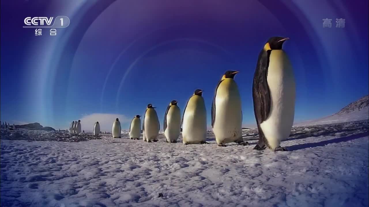 第1集：漫漫长路