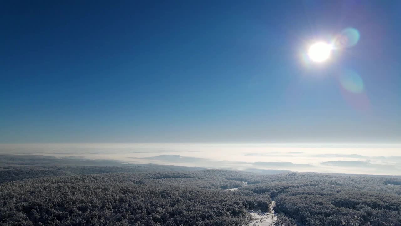004.蒙娜丽莎的眼泪 - 林志炫