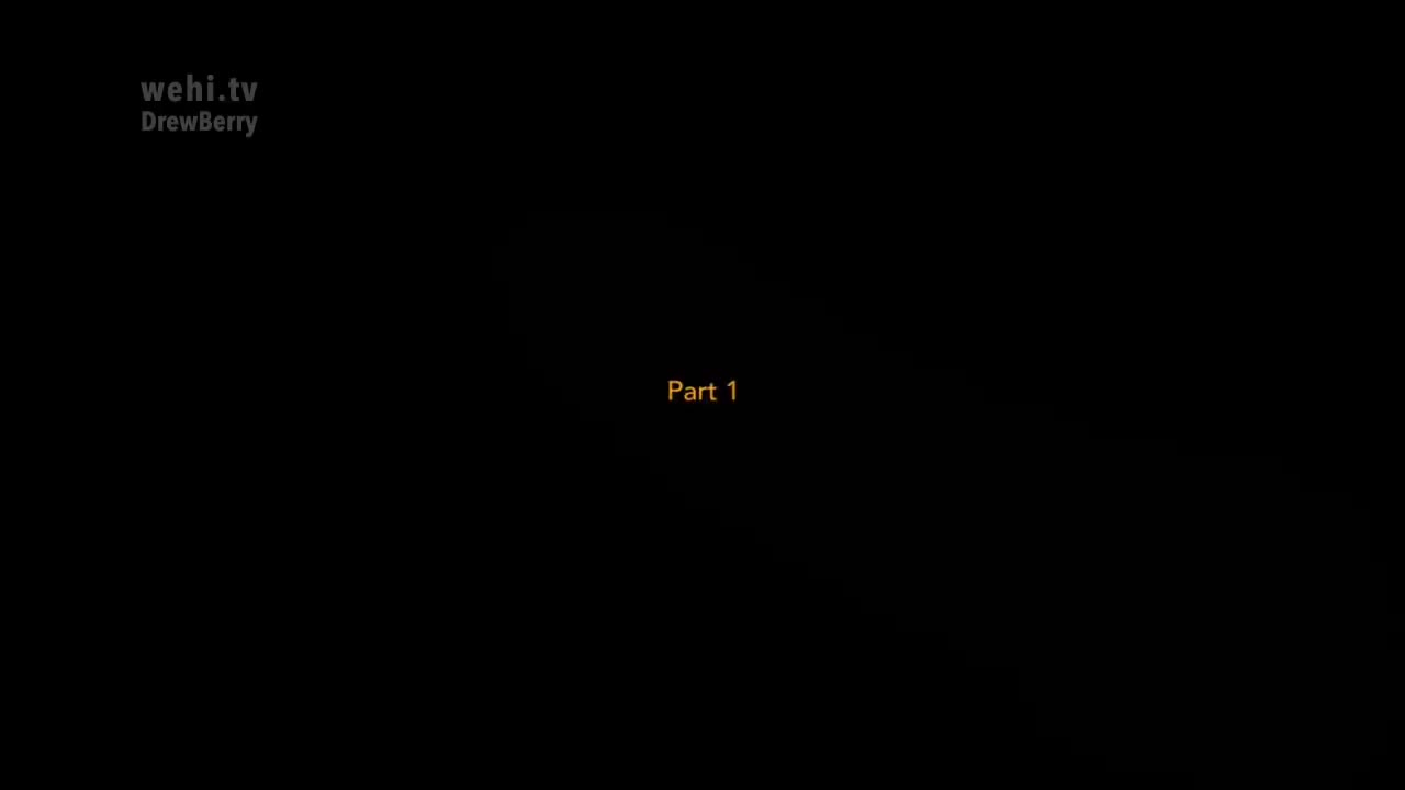 疟疾的生命周期 2-Malaria Lifecycle -- no narration (2016) by Drew Berry wehi.tv