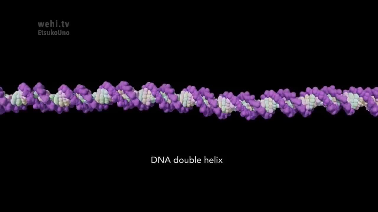 表观遗传学，无需赘述 64-Epigenetics – no narration