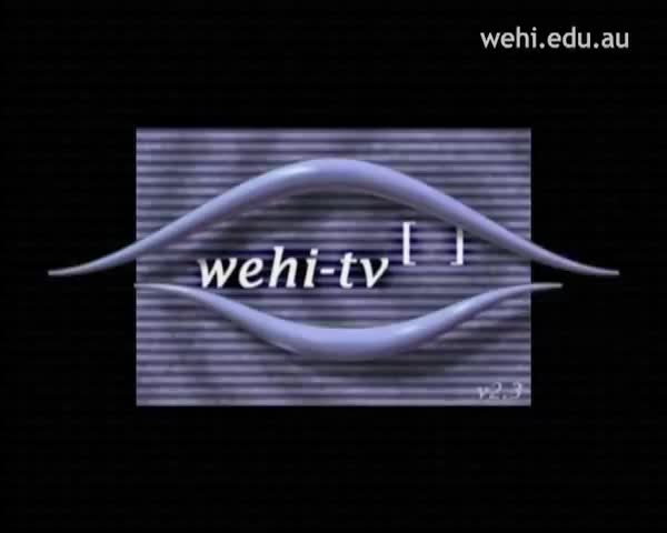 作品集2 39-wehi.tv showreel #2 (1998-2000) Drew Berry wehi.tv
