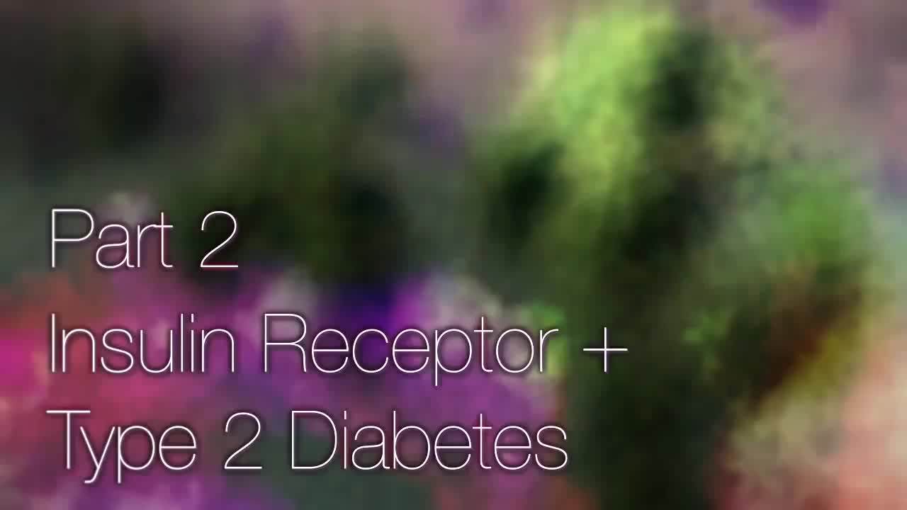 胰岛素受体与2型糖尿病 35-Insulin Receptor and Type 2 Diabetes