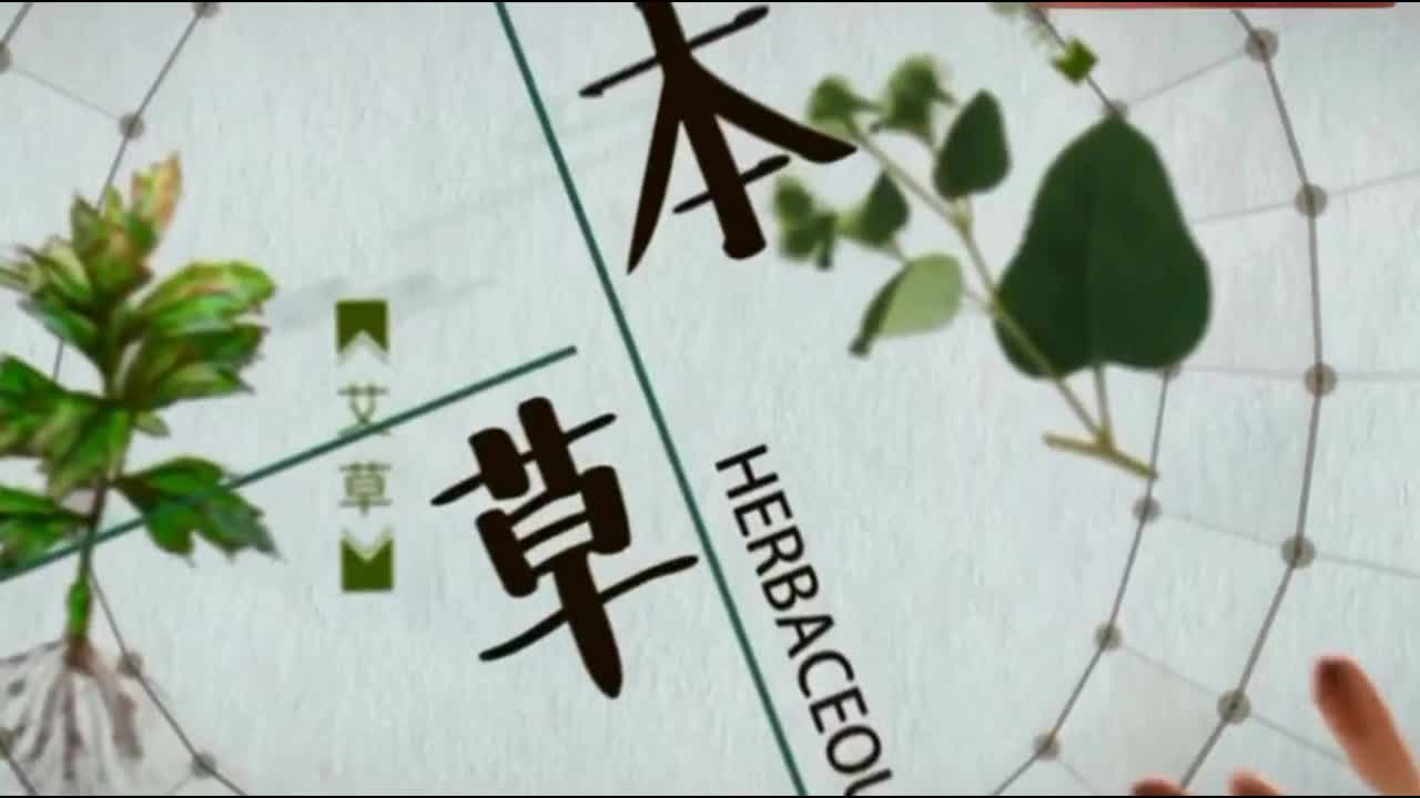 碧叶烟雨-角调阴(肝属木)