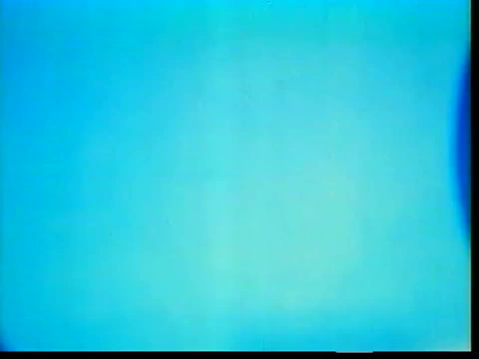 7、海军陆战队
