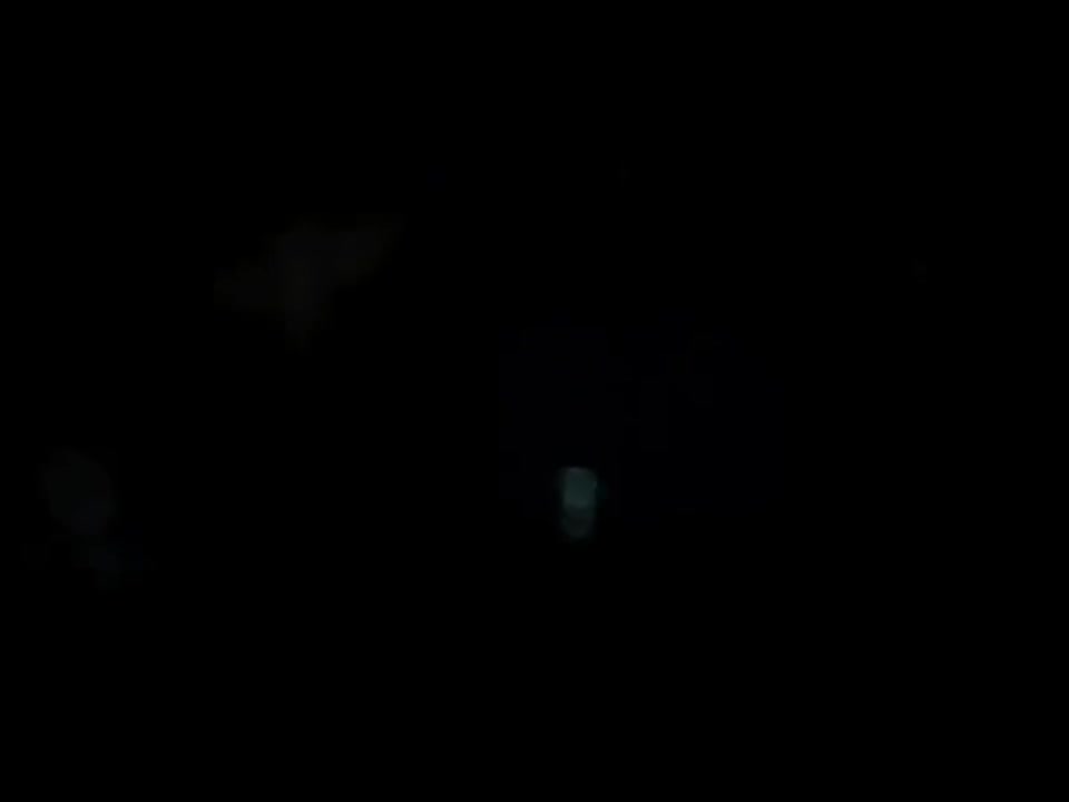 第二天堂 【2th 第二天堂】