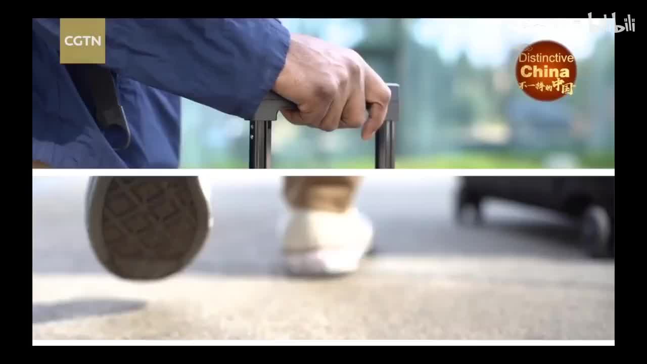 Dezhou Braised Chicken德州扒鸡