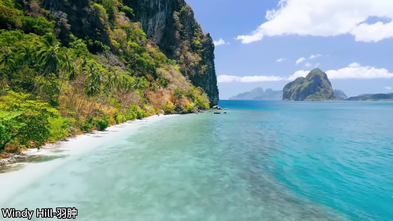 21.Windy Hill-羽肿