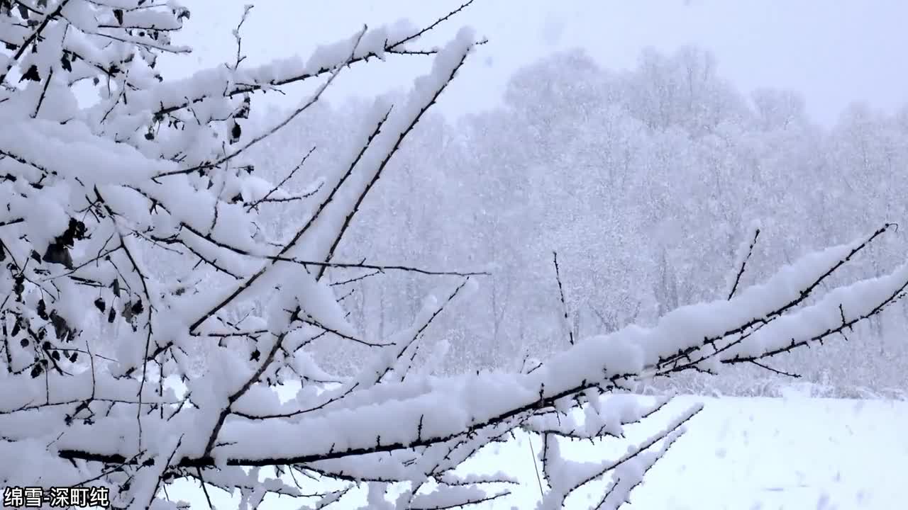 28.绵雪-深町纯