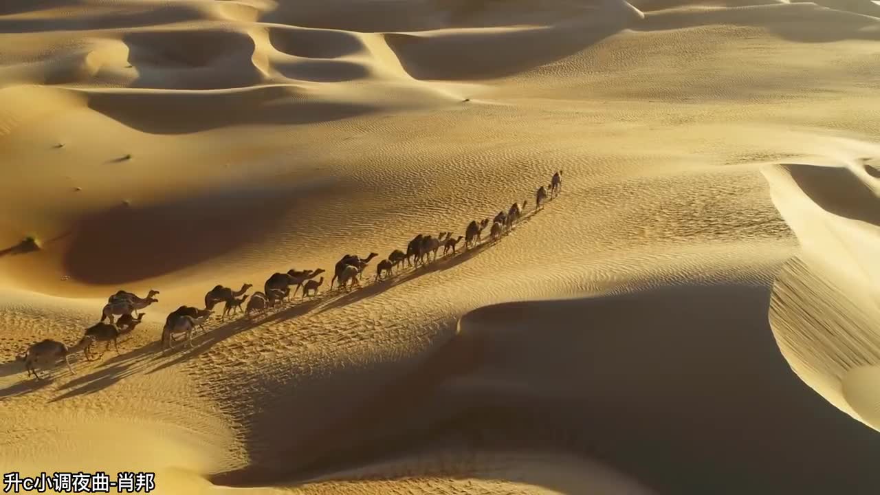 49.升c小调夜曲-肖邦