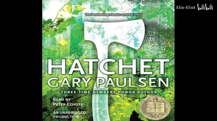 Hatchet series 01 Hatchet - Gary Paulsen