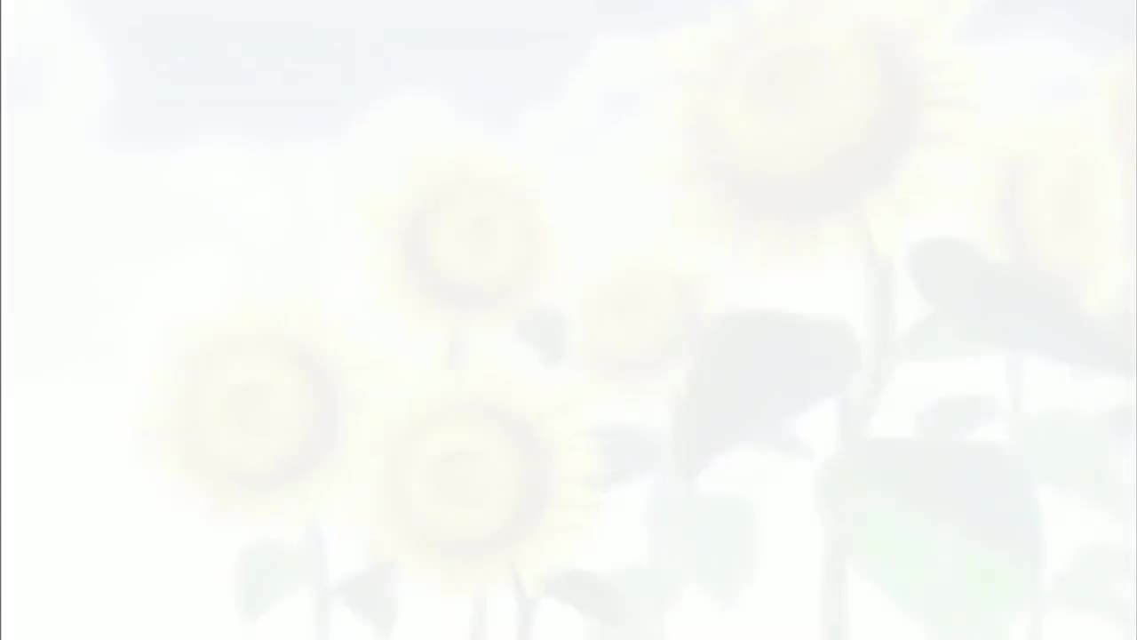 神奇宝贝 DP ED6(君の胸にLaLaLa)2