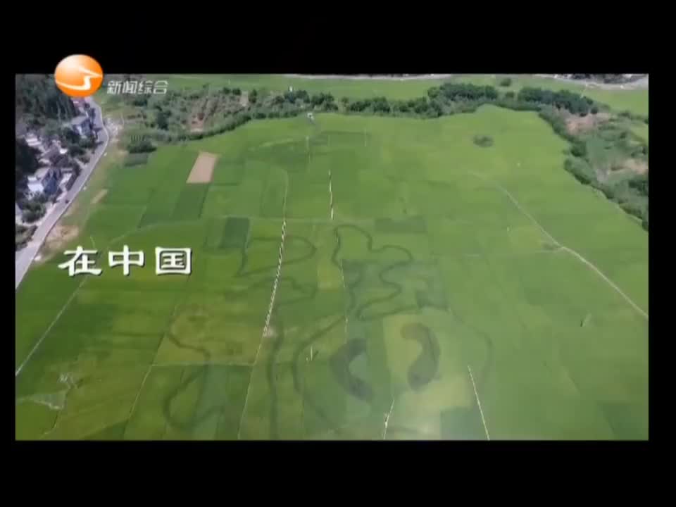 江夏新闻综合频道