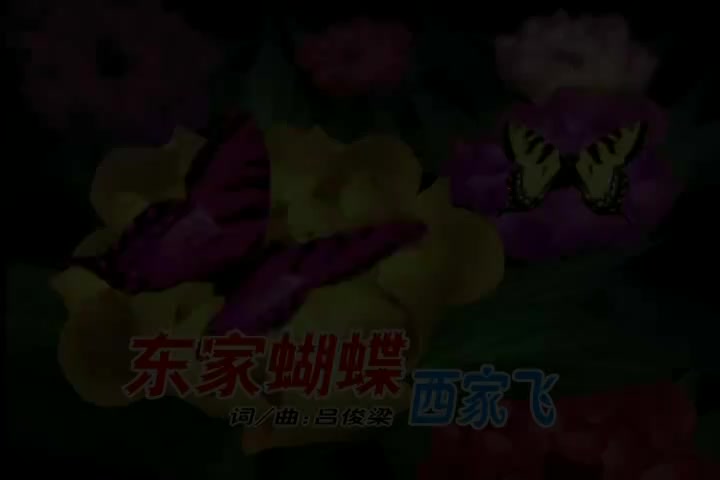 东家蝴蝶西家飞