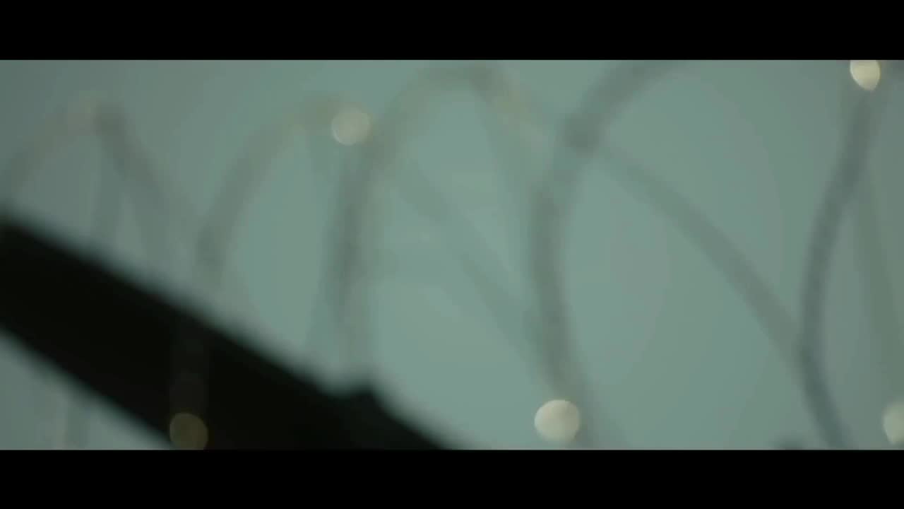 裂缝中的阳光 【10th 因你而在】