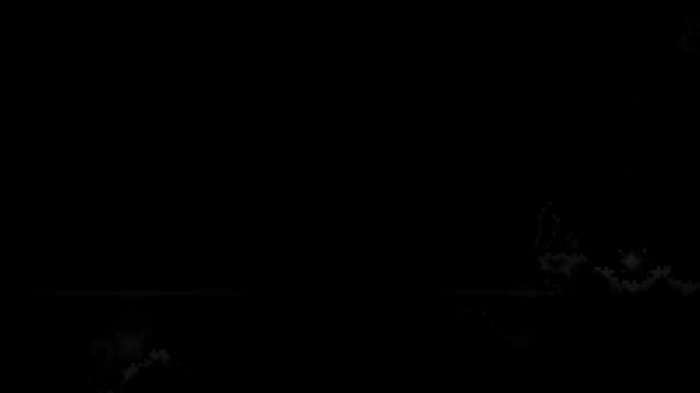 （世纪之花）FLORAL ANIMOSITY