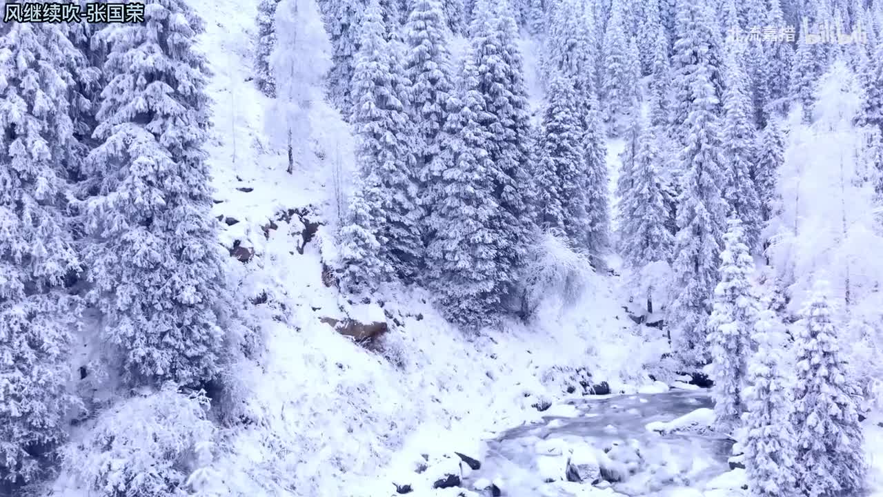 38.风继续吹-张国荣