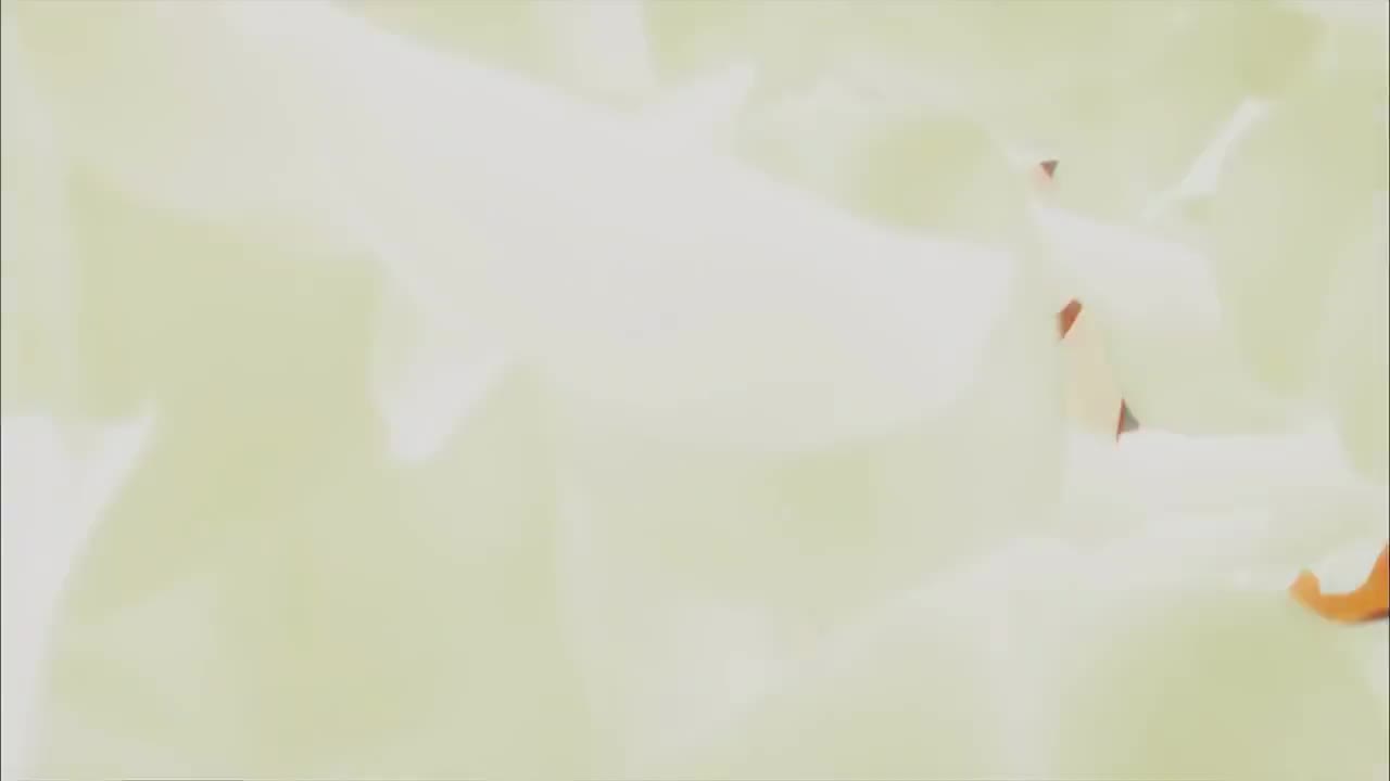 游戏王ZEXAL ED2(切望のフリージア)