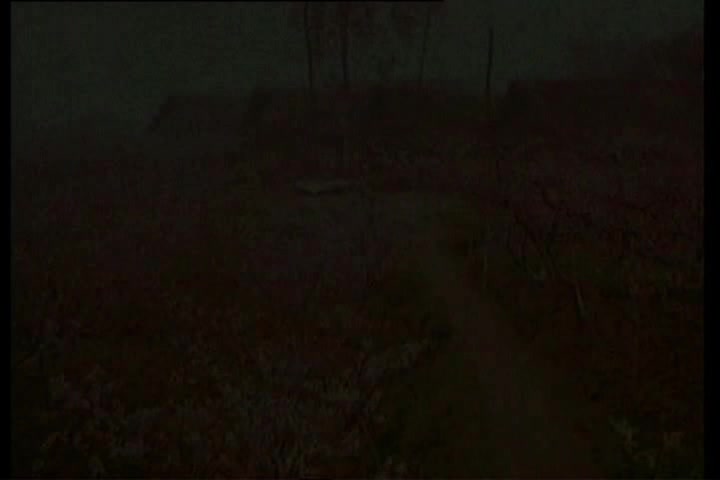 黄鹤翔-九妹[宋体版]