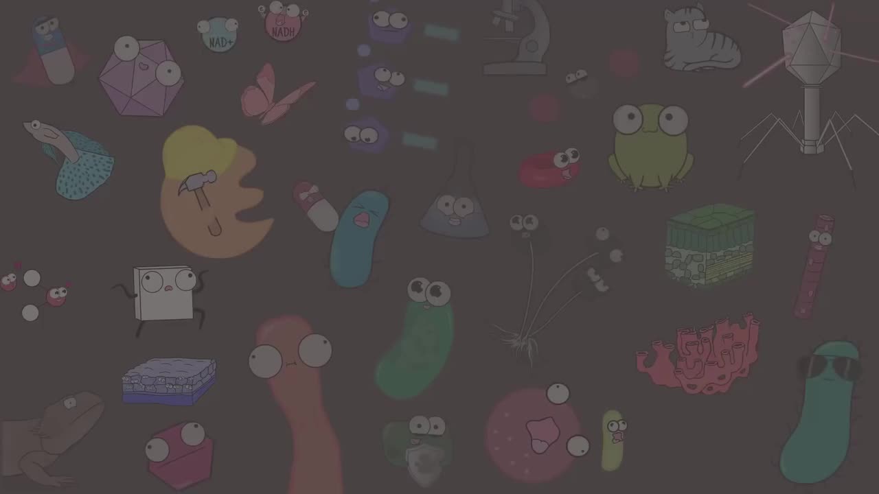 生物学评论 42-Stroll Through the Playlist (a Biology Review)