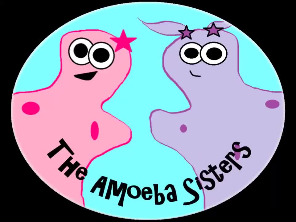 (旧视频)内稳态(和细胞膜之王) 88-(OLD VIDEO) Homeostasis (and the Cell Membrane King)