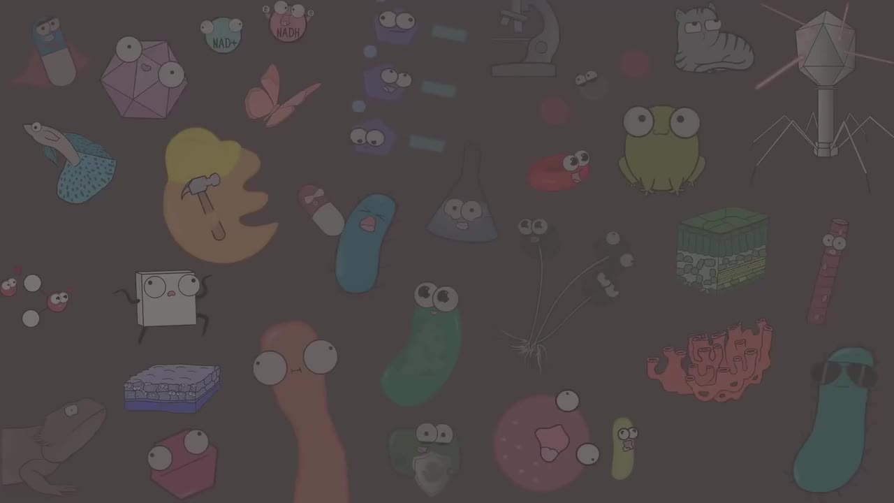 如何使用光学显微镜 57-Microscopes and How to Use a Light Microscope