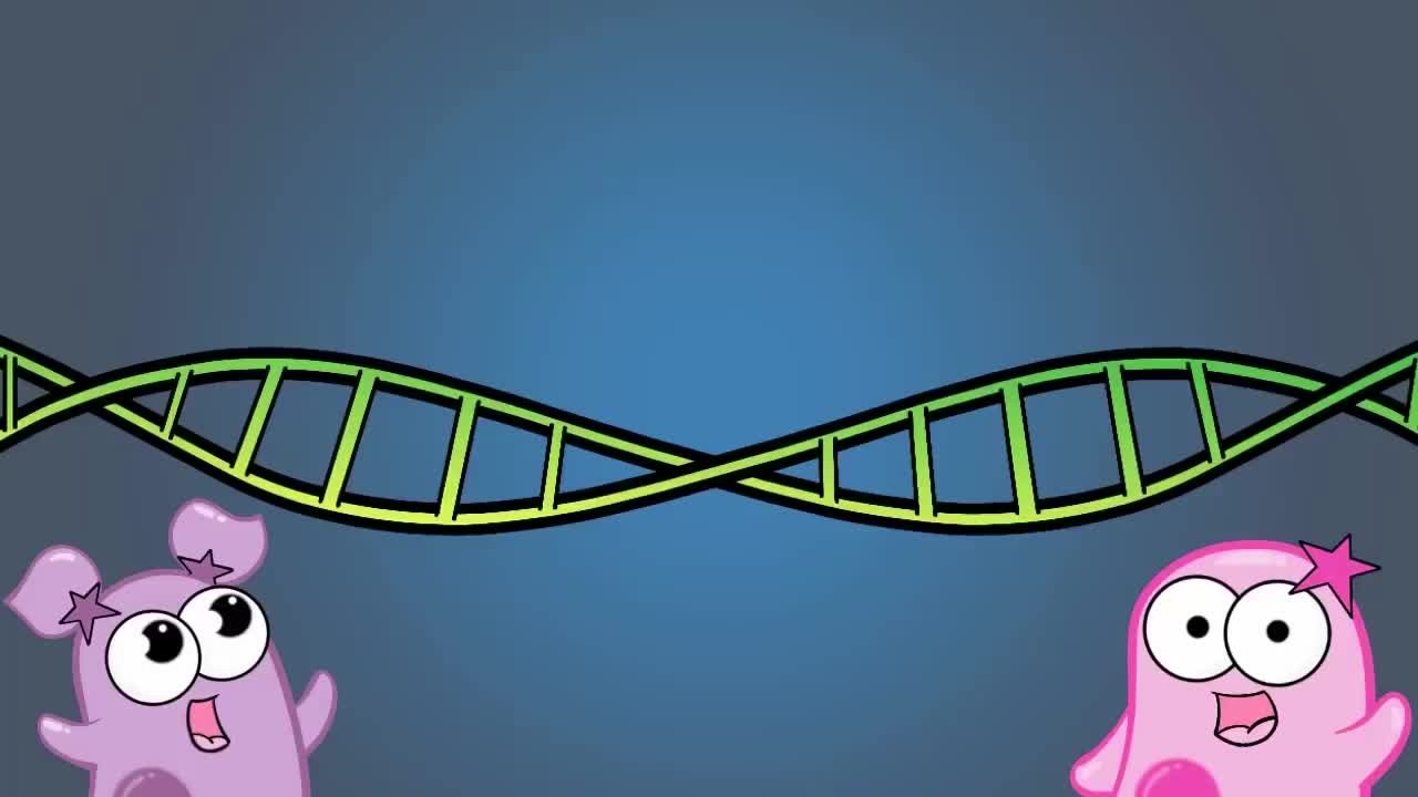减数分裂 2-Meiosis (Updated)