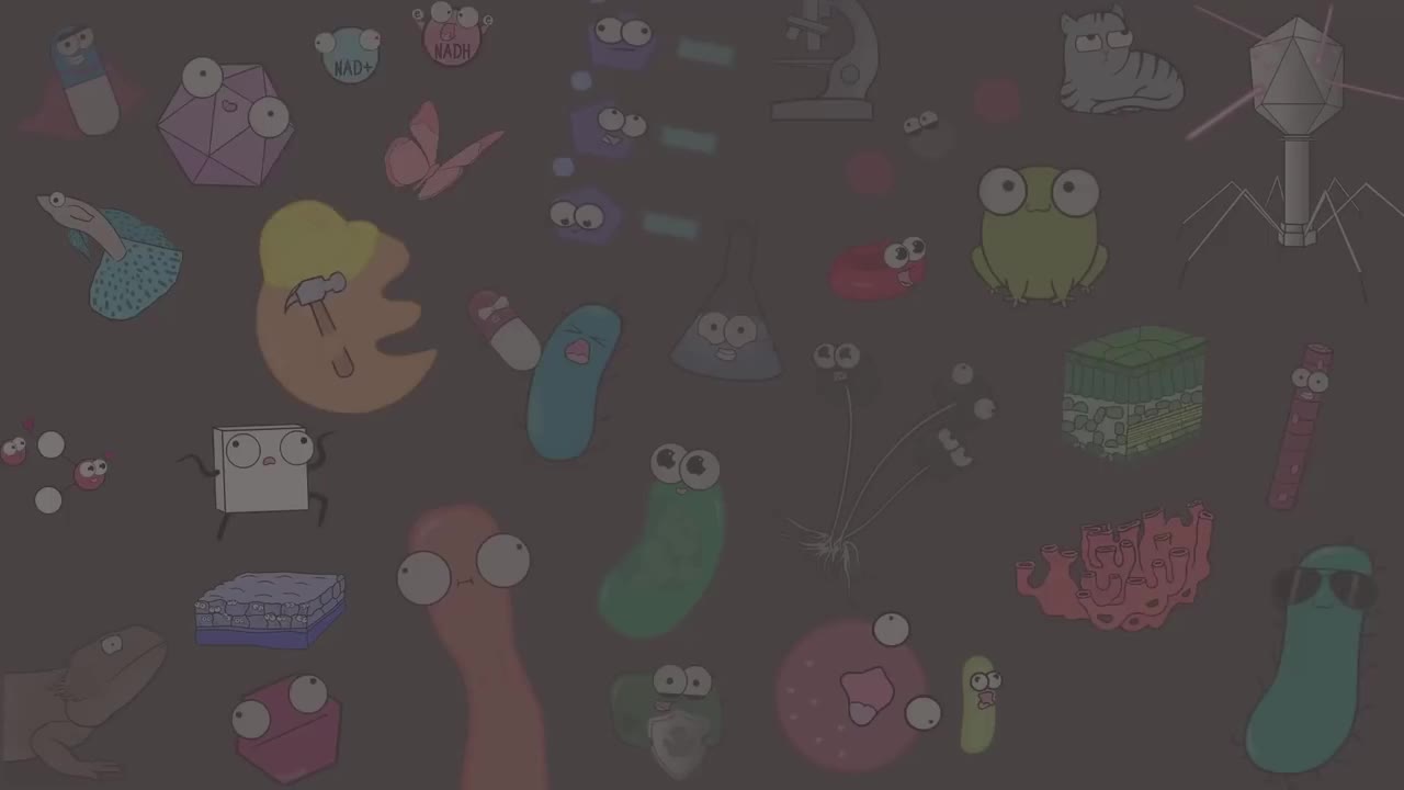 什么是ATP 70-What is ATP