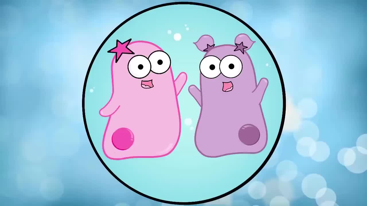 特化细胞的意义和例子 71-Specialized Cells Significance and Examples