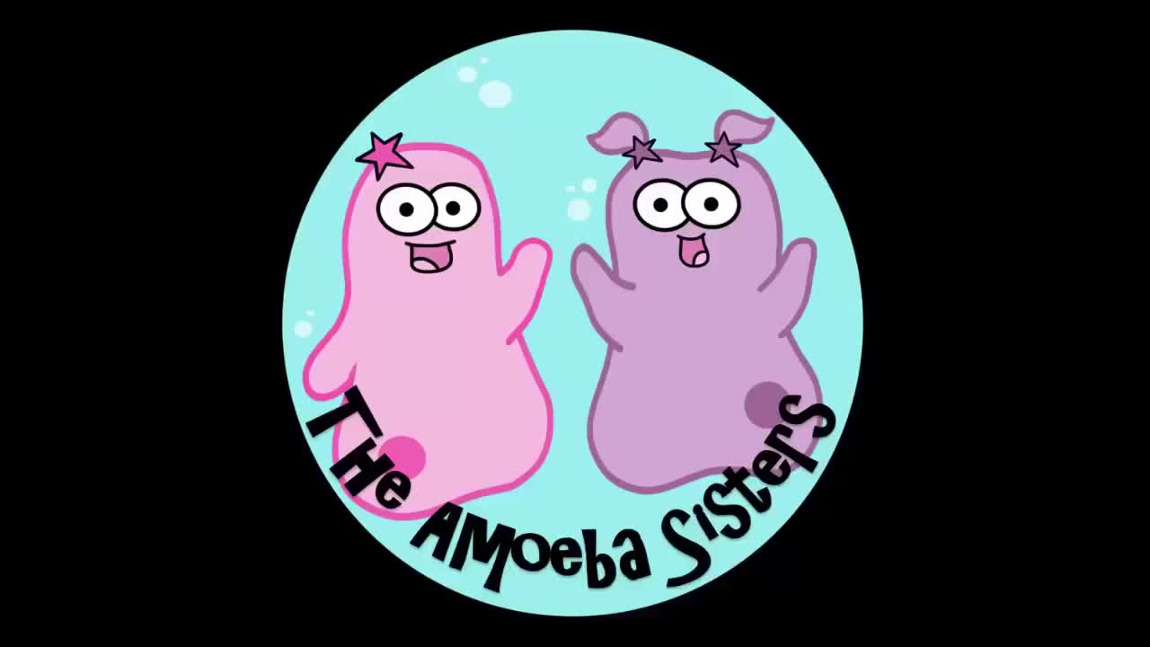 阿米巴姐妹的预告片(旧视频) 90-The Amoeba Sisters YouTube Trailer (OLD VIDEO)