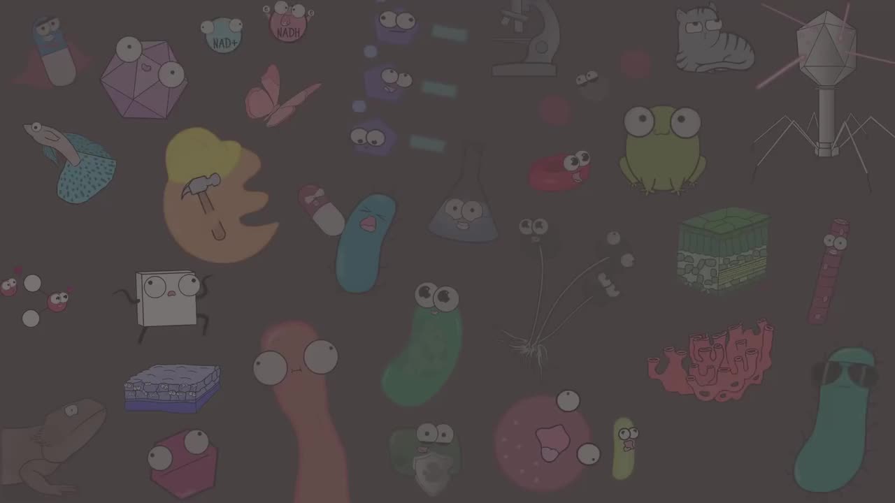 突变 43-Mutations (Updated)