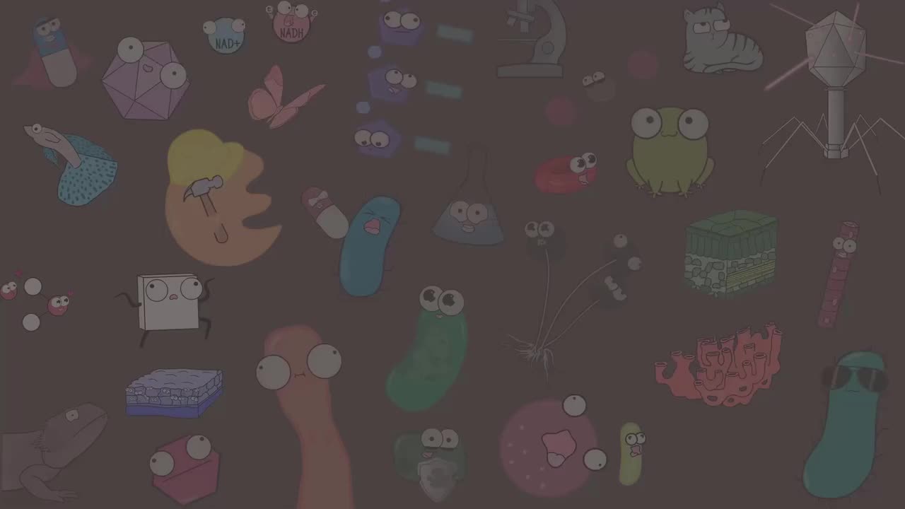 古生菌 95-Archaea