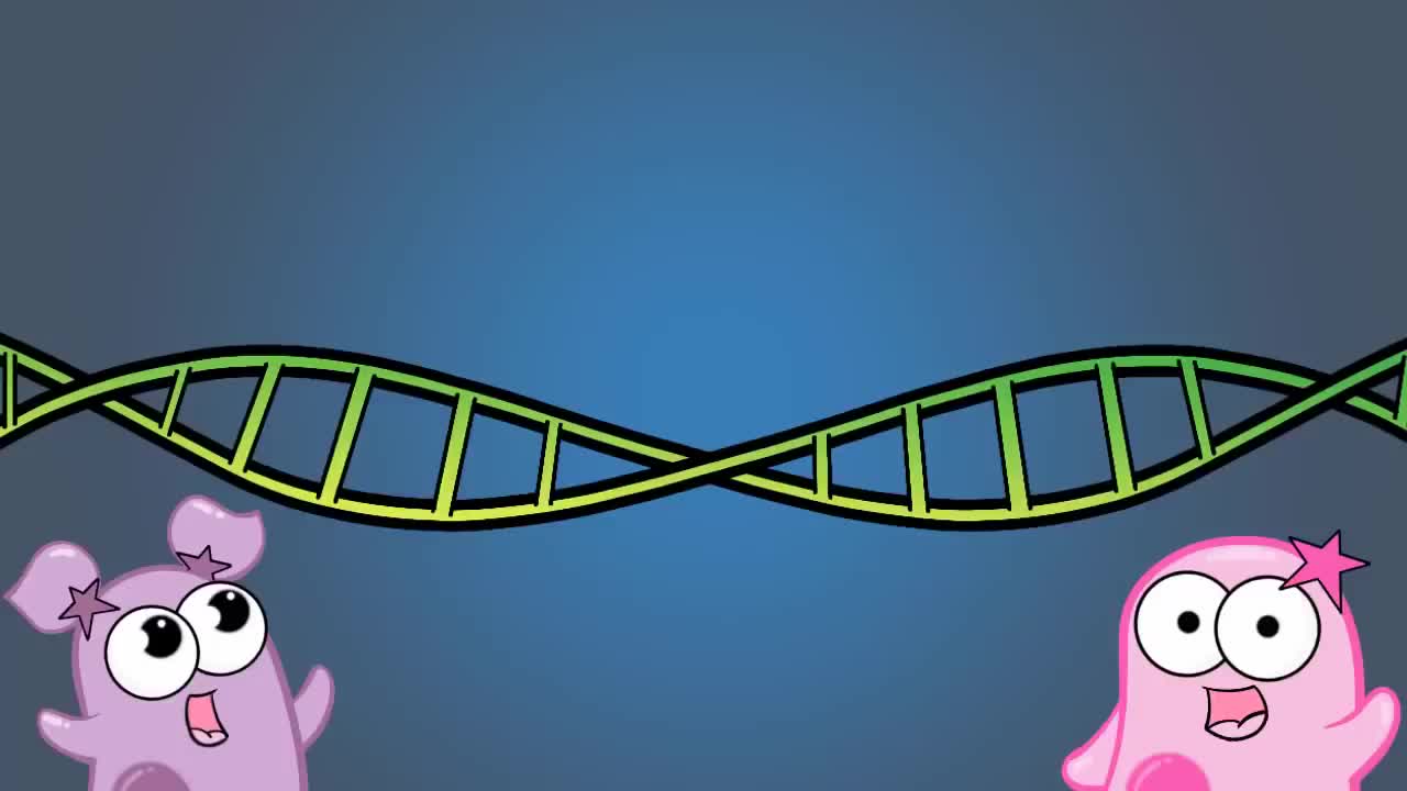 物种形成 59-Speciation
