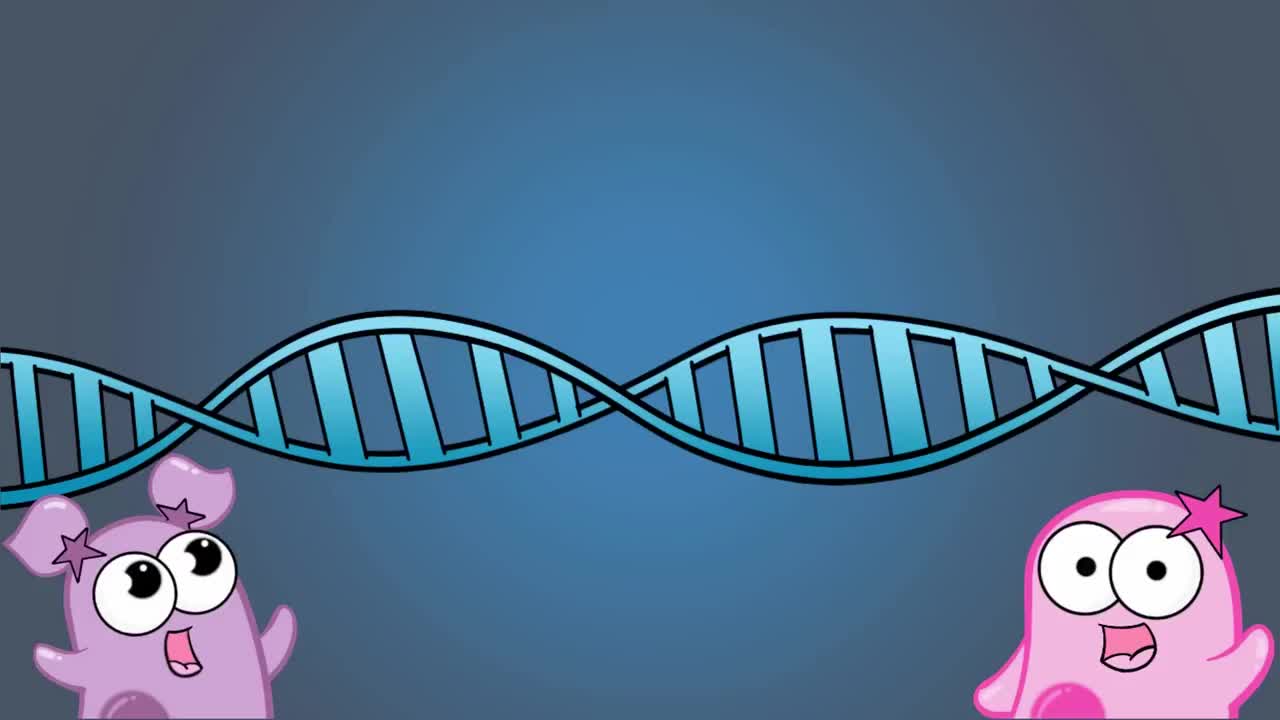 学习技巧，动力和我们的生物学播放列表 98-Study Tips, Motivation, & Our Biology Playlist