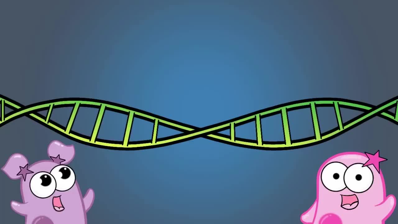 遗传漂变 56-Genetic Drift
