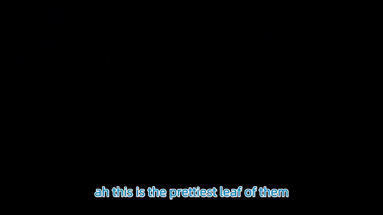 061. Guess How Much I Love You - FLY LIKE A BIRD