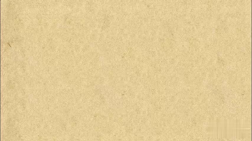 17.简单分数除法应用题