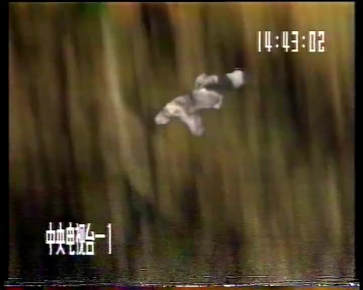 西游记09偷吃人参果_batch