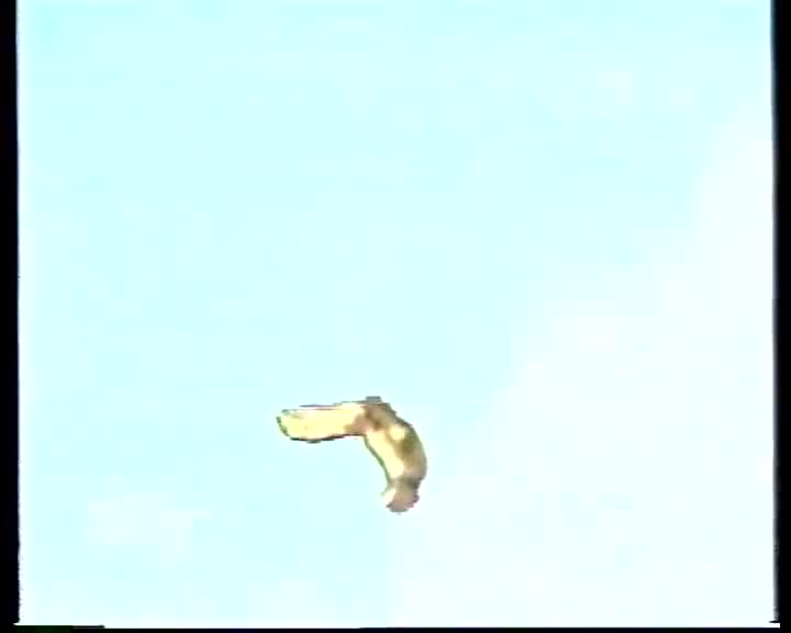 西游记12夺宝莲花洞_batch