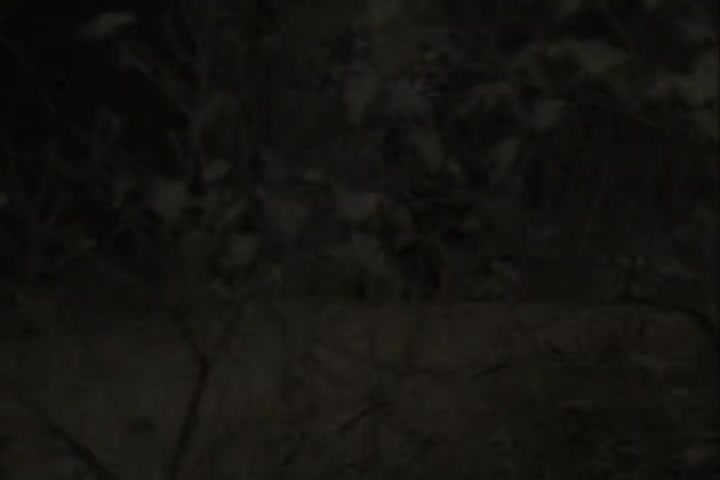 骚东坡粤40-6大结局完