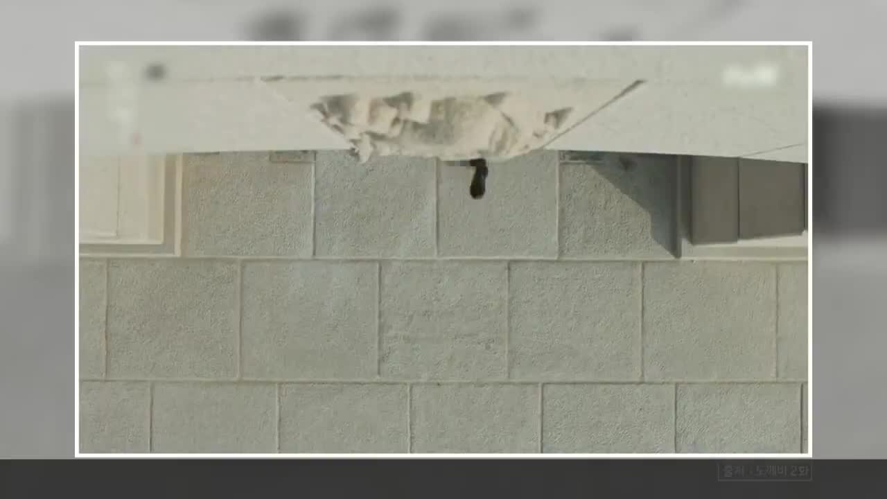 _首尔的光化门_鬼怪_世宗学堂EP10.多亏了你_让我还去了趟国外ｌK-WAVE韩语