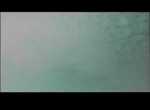 Singalongsong【4th 橙月】