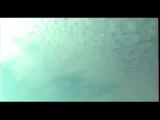 为你写的歌【4th 橙月】