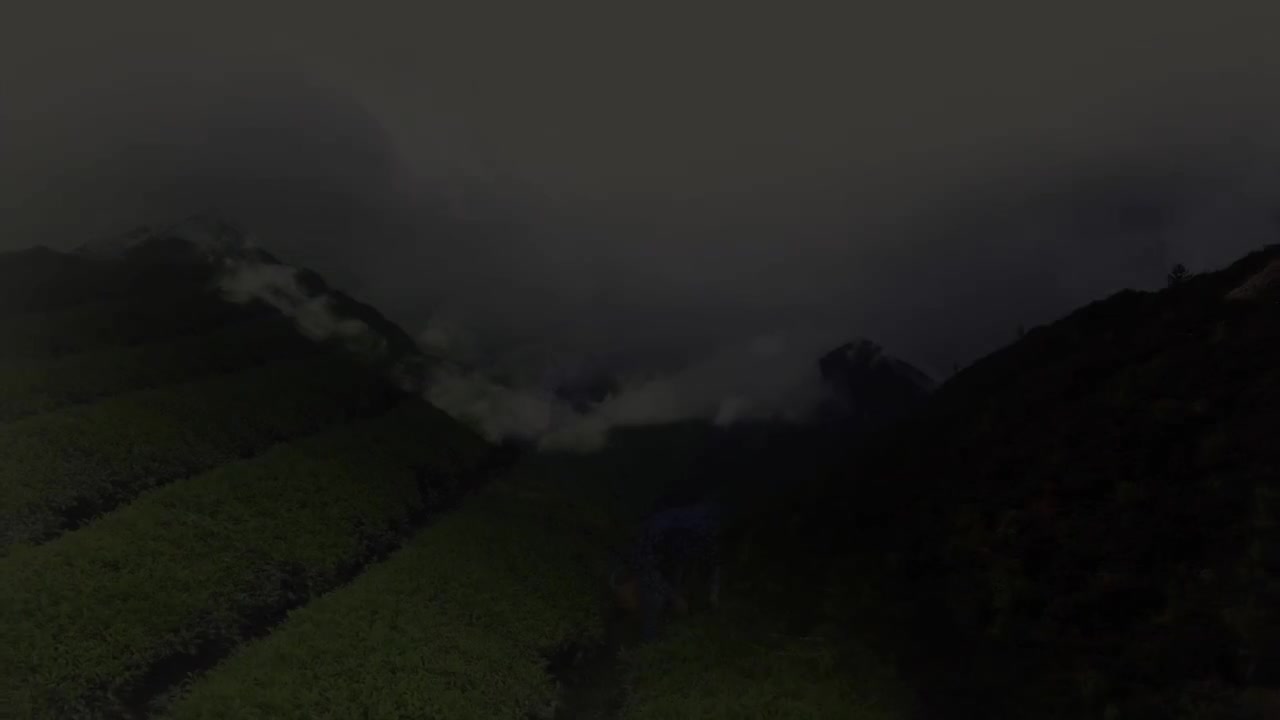 第13集 美味的药：良药苦口，看中国人如何把它们变为可口的美味？