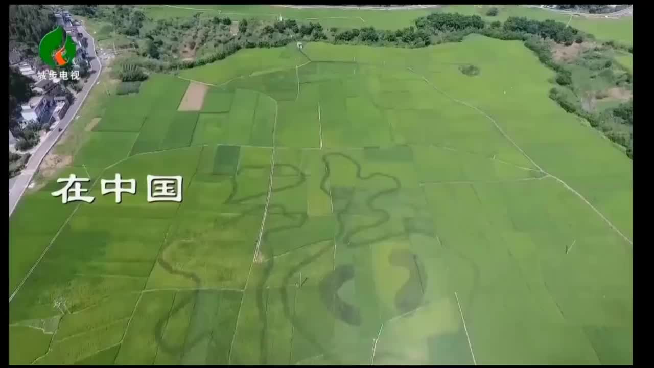 城步电视台