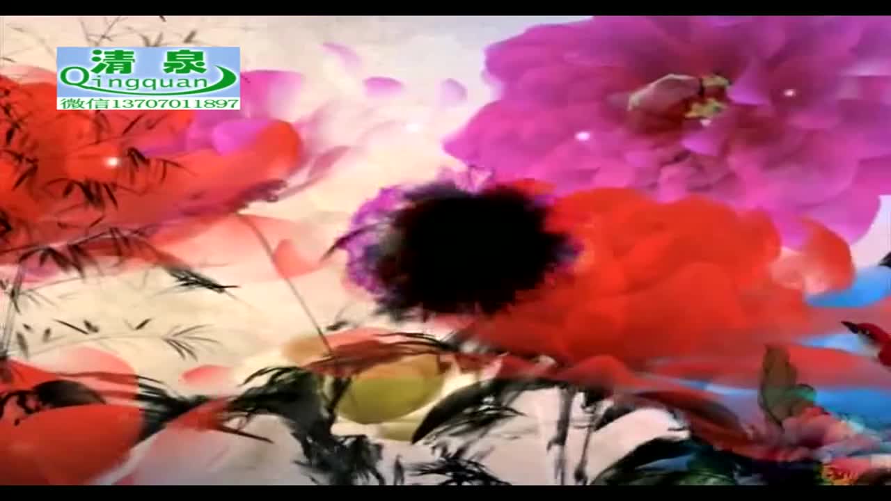 河南坠子《刘公传奇》29