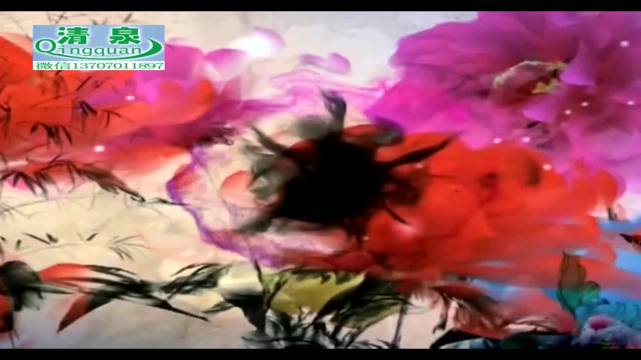 河南坠子《刘公传奇》14