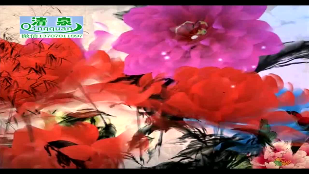 河南坠子《刘公传奇》22