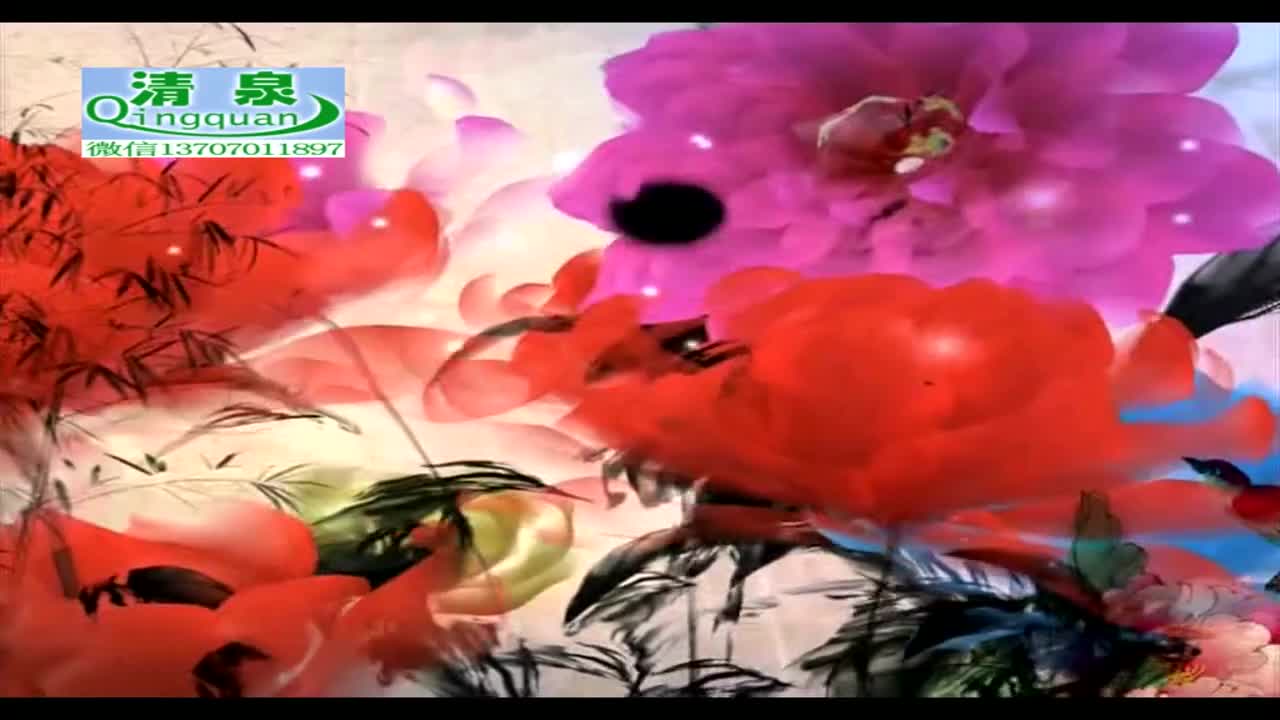 河南坠子《刘公传奇》