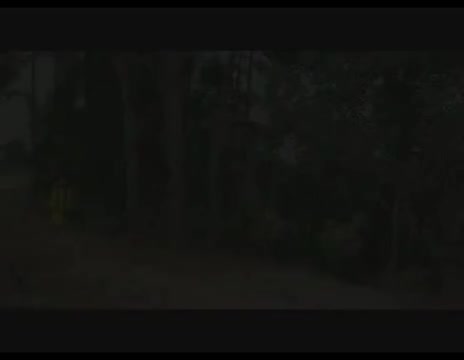 22赣南采茶戏-丑女报恩-01-difangxi.cn